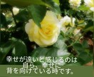 赦せない、その気持ちが自分を縛ってます 赦せない事、それは相手より自分を傷つけている イメージ8