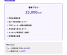 あなたのインスタ運用を月額でコンサルします 投稿の方向性から改善まで伴走します イメージ5