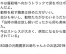 人生のさがし物が落ちていそうな場所占います お金、配偶者、友達、癒し、探したい星をひとつお選び下さい イメージ3