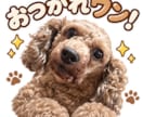 写真から笑える関西弁LINEスタンプを作ります 愛犬・赤ちゃん・夫婦・友達の写真が、毎日使えるスタンプに！！ イメージ4