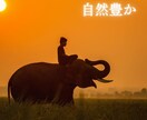 タイ移住を全面サポート致します 東南アジア移住のサポートを移住前から移住後までフルでサポート イメージ5