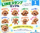 写真からLINEスタンプ作りますます ペットや大切な写真をかわいいオリジナルスタンプに！ イメージ2
