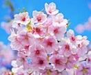 2人だけの内緒話しましょ★なんでもお話します 暇つぶしでも、寂しい時でも、気楽に♪待ってますね イメージ2