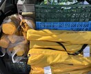 Amazonせどり仕入れ、チャットでサポートします 新品せどりのリサーチ・仕入れの困りごと、なんでも相談OK！ イメージ2