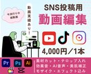 SNS用！！縦動画つくります SNSやらなきゃだけど時間が無い方！動画編集やります！ イメージ1