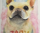 A5～A4サイズで動物ちゃんの似顔絵描きます 水彩でふんわり優しく♬.*ﾟ可愛らしい表情を描きます イメージ2
