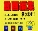 YouTube動画のカット作業・字幕入れます YouTubeチャンネル運営経験有り イメージ1