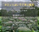 片思い【タロット】未来への一歩をサポートします 相手の気持ちをタロットで判断し、行動のタイミングを伝えます。 イメージ5