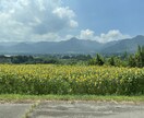 あなたの今のお気持ちを丁寧に受けとめます あなたの心に小さな灯りを灯したい。心の旅人。 イメージ1