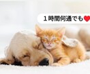 愚痴、恋愛、人間関係何でもお話し聞きます 夜職あがり一児のママ^^LINE感覚でお悩み聞きます✩.* イメージ1