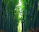 溜め込んだ気持ちや思いを回収します ただただ聞いて欲しい・・・を受け止めます イメージ1