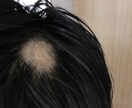 書籍3冊の作家があなたの悩みと本気で向き合います 相談件数10000件以上、メンタルのプロが共感し解決します イメージ1