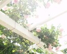 ☆豊穣と健康と美しさ☆遠隔エッセンシャルアロマヒーリング☆ イメージ2