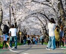 名古屋市内どこでもキレイな写真を撮って送ります なかなか外出できないあなたの代わりになんでも撮ってきます イメージ1