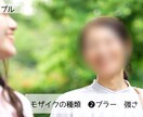 動画へのモザイク処理、承ります 面倒なモザイク処理を動画編集のプロが迅速に! イメージ4