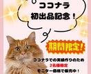 あなたの代わりに売れるコンテンツ作成します 面倒な商品作りは丸投げ！AI活用のプロ品質作成代行！ イメージ2