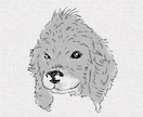 世界にひとつのうちの子似顔絵制作します 愛犬・愛猫・小動物OK、優しいタッチで大切な子をイラストに イメージ4