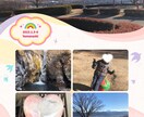 クリスマスカード　年賀状　インスタ用等　編集します 編集ソフトを使用し頂いた画像からレイアウト画像を作成します イメージ3