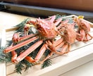動画撮影・現地ロケ撮影を代行します 【編集オプション・単体依頼OK】高品質な素材を撮影 イメージ8