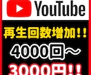 YouTubeの再生回数4000回増やします 見栄えを良くしたい方におすすめ！ イメージ8