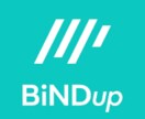 使い方レクチャー込！BiNDupでHP制作します BiNDupで制作し、運用方法までお伝えします イメージ1