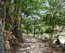 経験豊富な作業療法士が相談に乗ります 仕事、恋愛、子育て、社会の荒波に疲れた方へ イメージ2