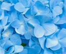 落ち着いた環境で話したい方のお話を聞きます [30分チャット]60・90・120分はオプションにてご対応 イメージ5