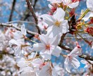 なんでも聞きます 仕事の愚痴等、ただ話し相手が欲しい方も大歓迎です イメージ2
