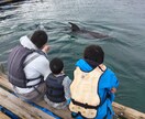 大人も楽しむ！乳幼児連れ国内旅行のプラン立てます 4歳0歳のママだから、実際に子連れ旅行してるからできる！ イメージ4