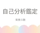 強み•適職•才能がわかる自己分析鑑定をします 自己分析で強みを可視化！適職・才能・働き方を鑑定します イメージ1