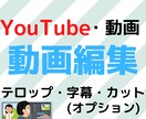 動画編集します 動画編集代行します！テロップ起こしなど！ イメージ1