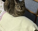 過去に病院に行くほど鬱になっています 今辛いひと、苦しい人、いつでも相談してください。 イメージ7