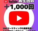 YouTube動画＋1000回再生拡大します コスパ抜群！再生回数1000回数UP！振り分けにも対応！ イメージ2