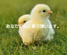 恋愛の悩み、人生の悩み、何でもお聴きします 何でも話して、心を軽くして、HAPPYになろう！ イメージ2