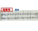 楽譜に指番号を書きます ドレミ音名も◎曲の長さ•難易度でお見積もりします。お気軽に♫ イメージ2