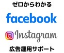 Facebook広告の運用・改善アドバイスします 年間2億円を運用する広告責任者がご対応 イメージ1