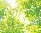 メンタルケア、カウンセリングしてます 普段、仕事や学校で精神的にキツい方。お話し是非お聞かせ下さい イメージ1
