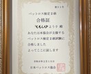 ペットロス専門カウンセラーがお話をお聞きします “関西唯一”日本ペットロス協会正会員 イメージ5