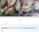 東京湾、横浜、護岸、海釣り公園　秘密釣り方教えます なんでこんなに釣れるの？GOGOフッシング イメージ1