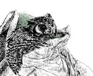 大切なご家族のペットを、心を込めて描きます 愛情をやさしい線画で残しませんか。 イメージ3