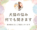 犬猫の悩みごと、何でも相談にのります 保護犬猫ボランティア歴6年。気軽にご相談ください！ イメージ1