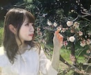 ペット　人物　本物の油絵をオーダーで制作します ご自宅用また各種プレゼント用に油絵を制作致します。 イメージ10