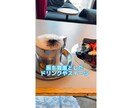 Tiktokクリエイターがショート動画編集します TikTok、リール、YouTube shorts イメージ4