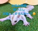 愚痴！暇つぶし！相談！なんでも聞かせて頂きます 誰かと話したい！寂しい！そんな時に使ってください！ イメージ1