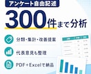 アンケートの自由記述を分析・見える化します 300件まで分類・集計し、改善案をPDF＋Excelで納品 イメージ1