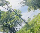心のお悩みならどんなお話でも聞きます あなたな心のお悩み聞かせてくれませんか？ イメージ1