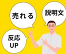 売れる商品説明文・LP原稿を魅力的に作成します 「欲しい」を引き出す言葉で購入を後押し イメージ1