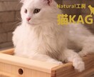 猫限定！！猫についてのお悩みや飼い方を相談できます キャットケアスペシャリスト・キャットシッターが回答します。 イメージ6