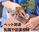 獣医師や動物業界の転職など業界相談承ります 臨床、企業、研究、公務員を経験した獣医師が相談に乗ります。 イメージ1