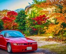 車の写真のナンバープレートを隠す処理をします 車写真のナンバープレートを画像処理にて数字が分からなくします イメージ2